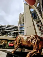 PACEVILLE - MALTA