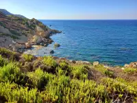 SAN BLAS BEACH - malta