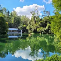INSTITUTO INHOTIM - brumadinho