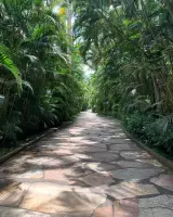 INSTITUTO INHOTIM - brumadinho