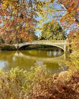 CENTRAL PARK