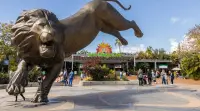 ZOOLÓGICO DE SAN DIEGO - SAN DIEGO