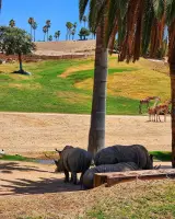 ZOOLÓGICO DE SAN DIEGO - SAN DIEGO