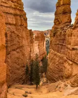 PARQUE NACIONAL DEL CAÑÓN BRYCE - UTAH
