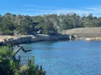 POINT LOBOS STATE NATURAL RESERVE -  CARMEL-BY-THE-SEA