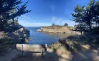 POINT LOBOS STATE NATURAL RESERVE -  CARMEL-BY-THE-SEA