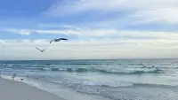 COQUINA BEACH - FLORIDA