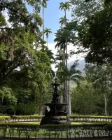 JARDÍN BOTÁNICO DE RÍO DE JANEIRO