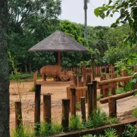 ZOOLÓGICO DE SÃO PAULO