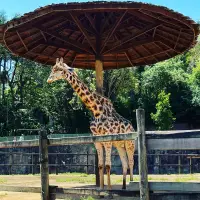 ZOOLÓGICO DE SÃO PAULO - SAO-PAULO