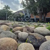 MUSEU DE ARTE MODERNA DO RÍO DE JANEIRO - RIO-DE-JANEIRO