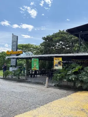 PAN PANOCHA ICONO MALL en Encontrable