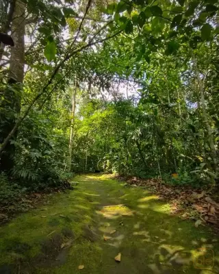 Jardín Botánico Universidad Tecnológica de Pereira en Encontrable