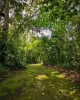 Jardín Botánico Universidad Tecnológica de Pereira