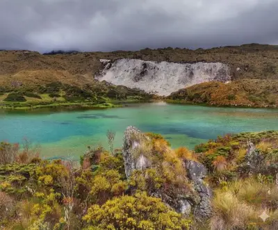 NUESTRO TICKET en Encontrable