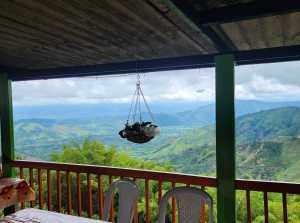 RESTAURANTE BALCON, LEÑA Y SABOR - marsella