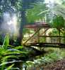 JARDIN BOTANICO ALEJANDRO HUMBOLDT MARSELLA - marsella