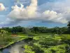 PANTANOS DE CENTLA - tabasco